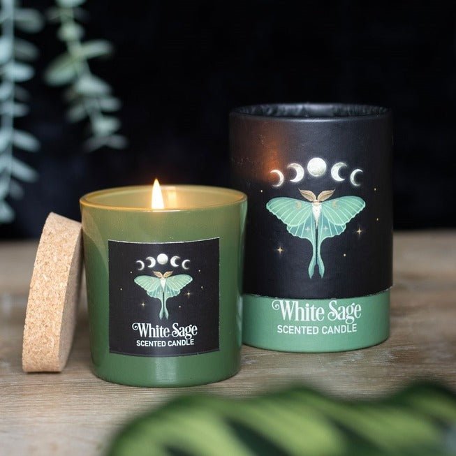 Faerie-Dust Inspiration Dark Forest Luna Moth White Sage Candle